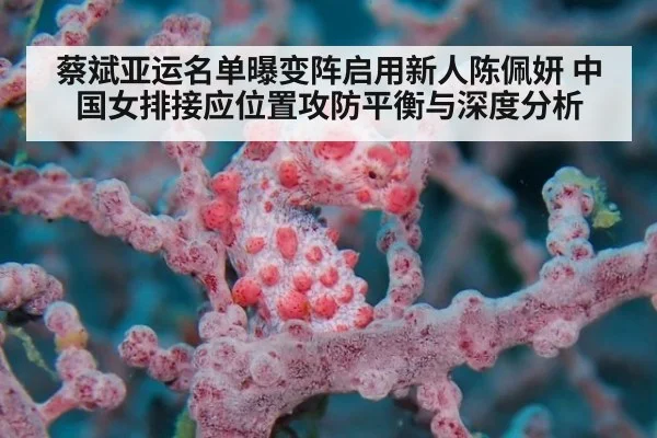 蔡斌亚运名单曝变阵启用新人陈佩妍 中国女排接应位置攻防平衡与深度分析