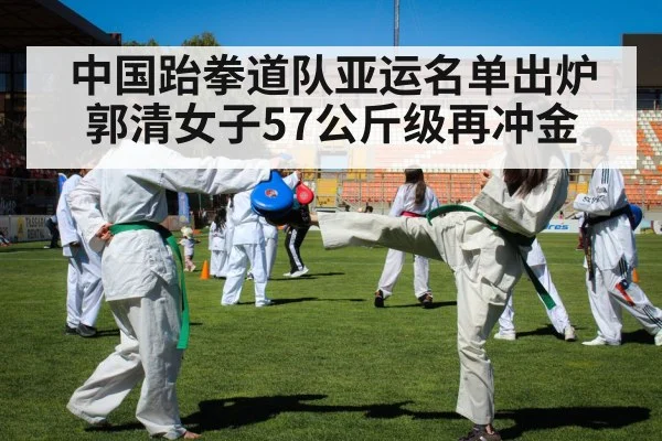 中国跆拳道队亚运名单出炉 郭清女子57公斤级再冲金