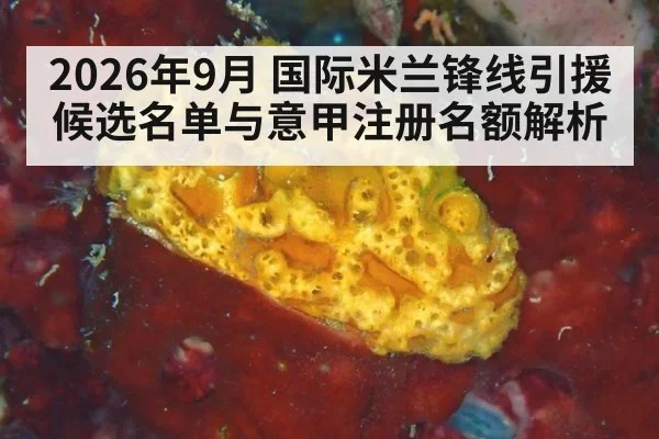 2026年9月 国际米兰锋线引援候选名单与意甲注册名额解析